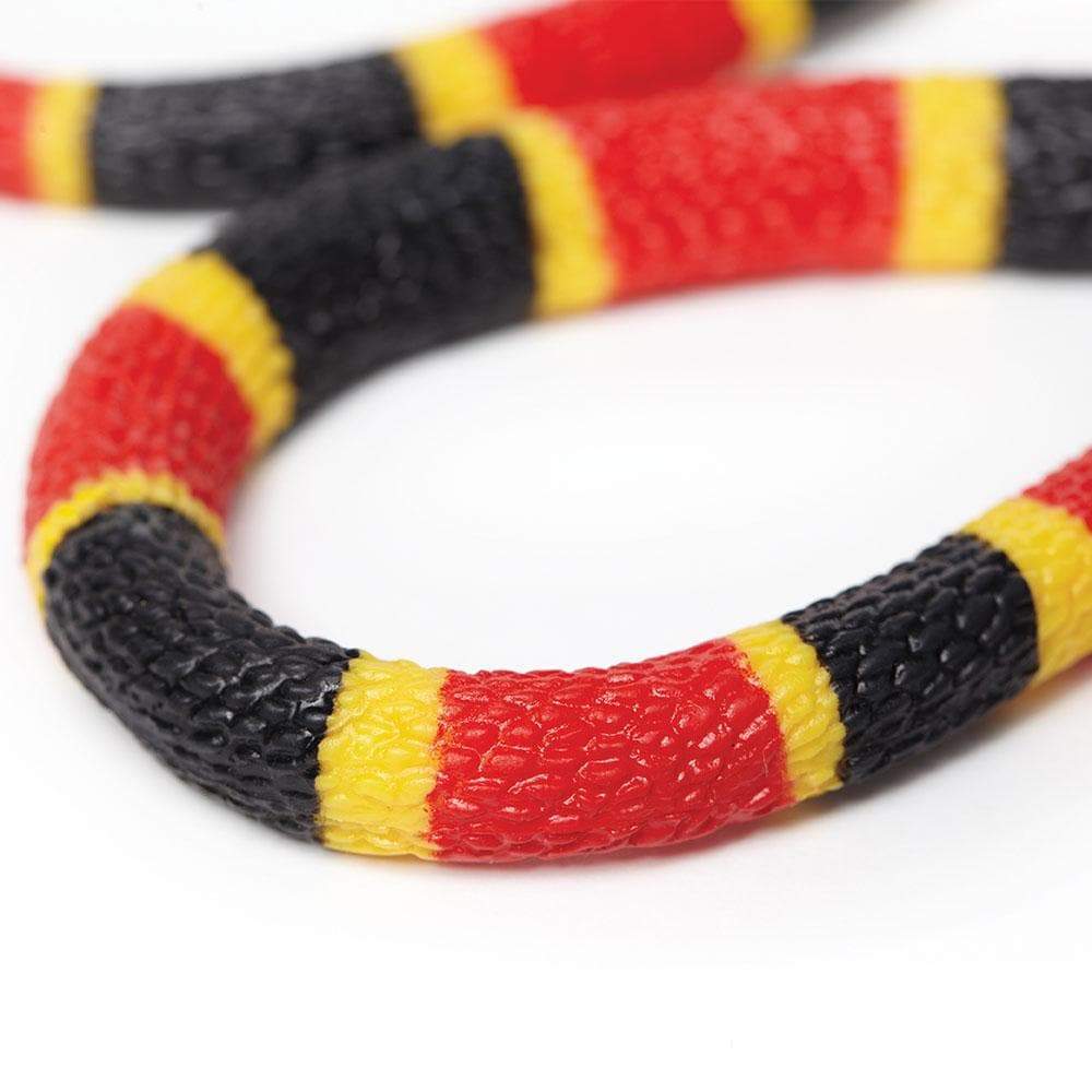 Coral Snake Baby Toy | Incredible Creatures | Safari Ltd®