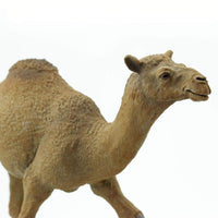 Dromedary Camel Toy