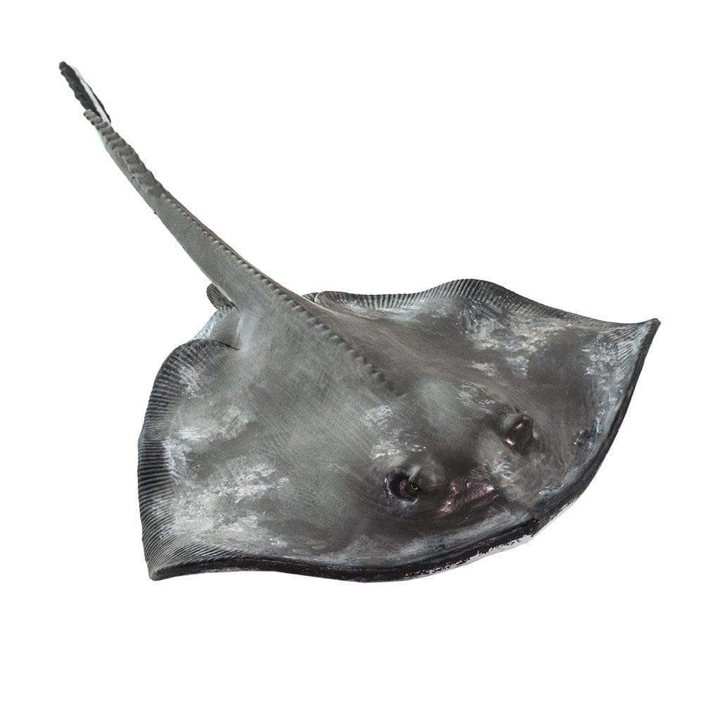 Sting Ray - Safari Ltd®