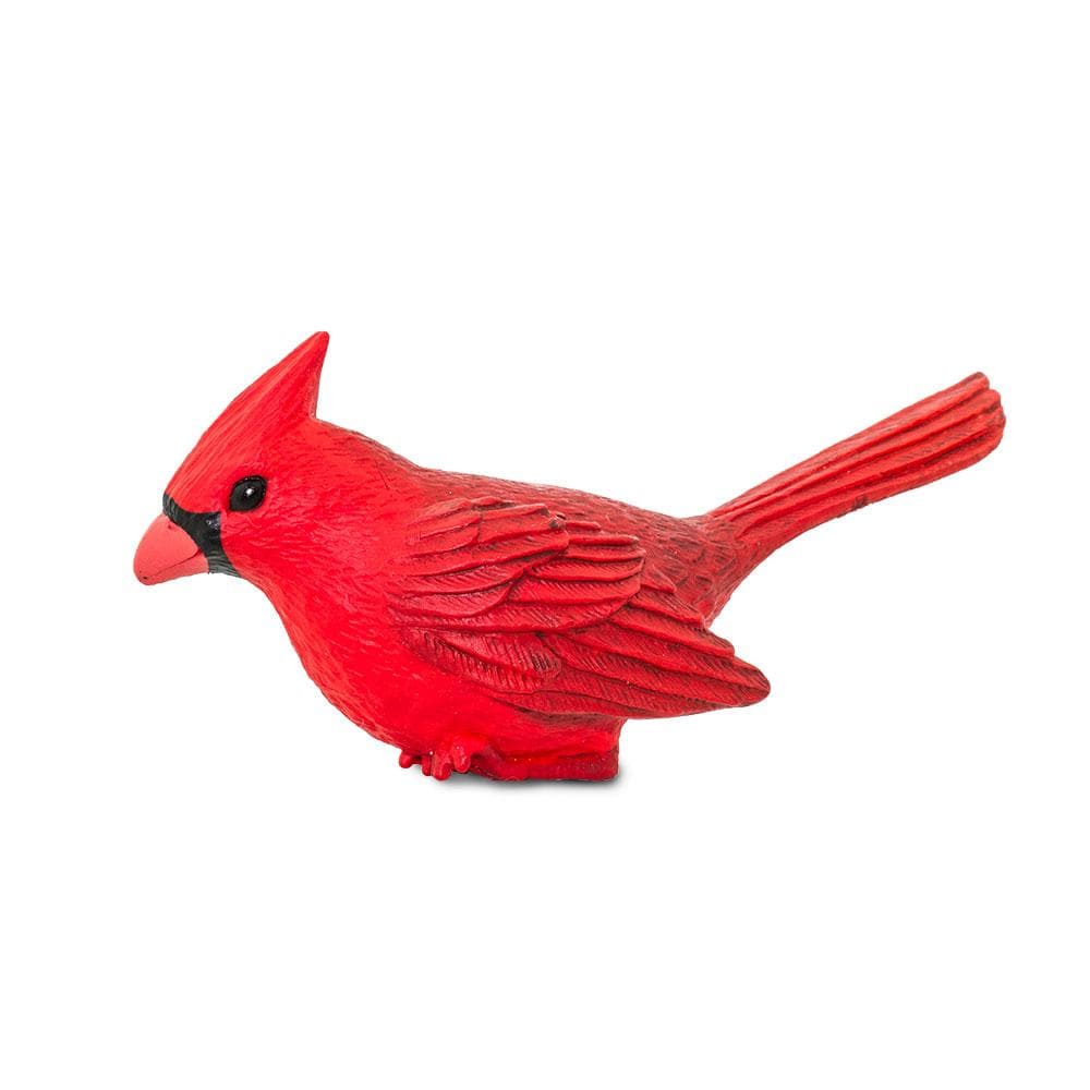 Cardinal Toy