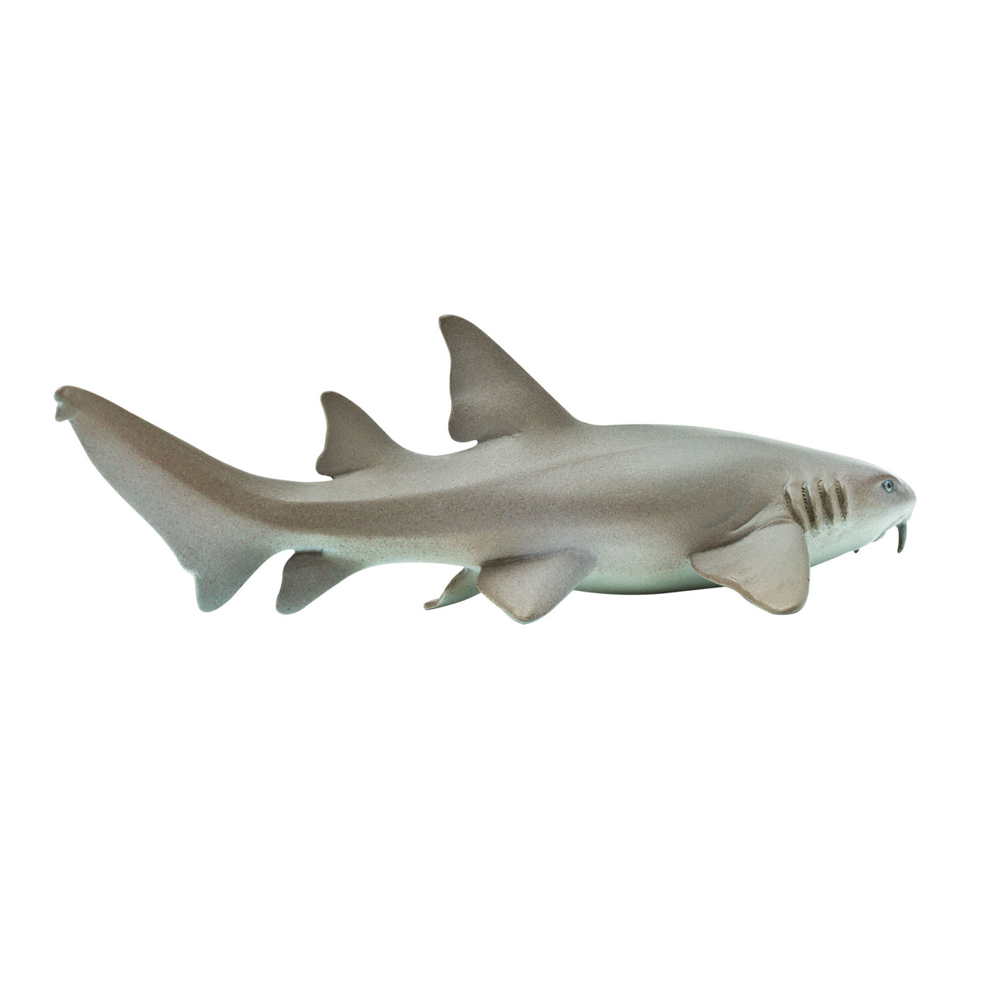 Nurse Shark Toy - Sea Life Toys by Safari Ltd.