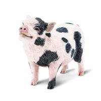 Pot-Bellied Pig Toy | Incredible Creatures | Safari Ltd®