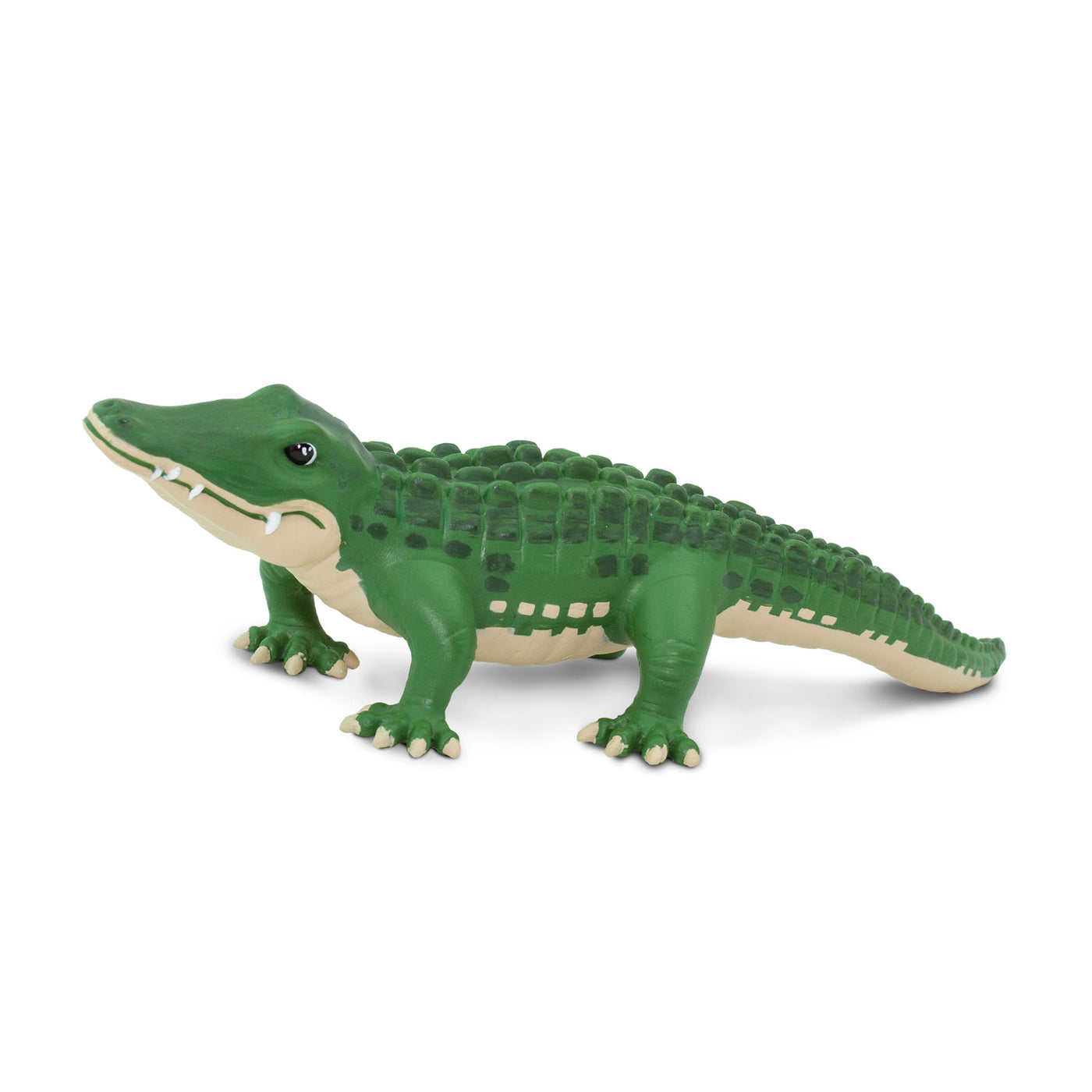 Bernie Toy | Wildlife Animal Toys | Safari Ltd®