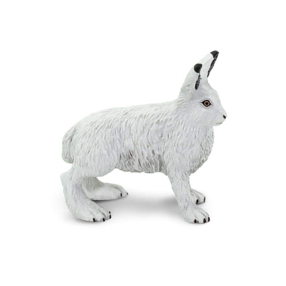 Arctic Hare - Safari Ltd®