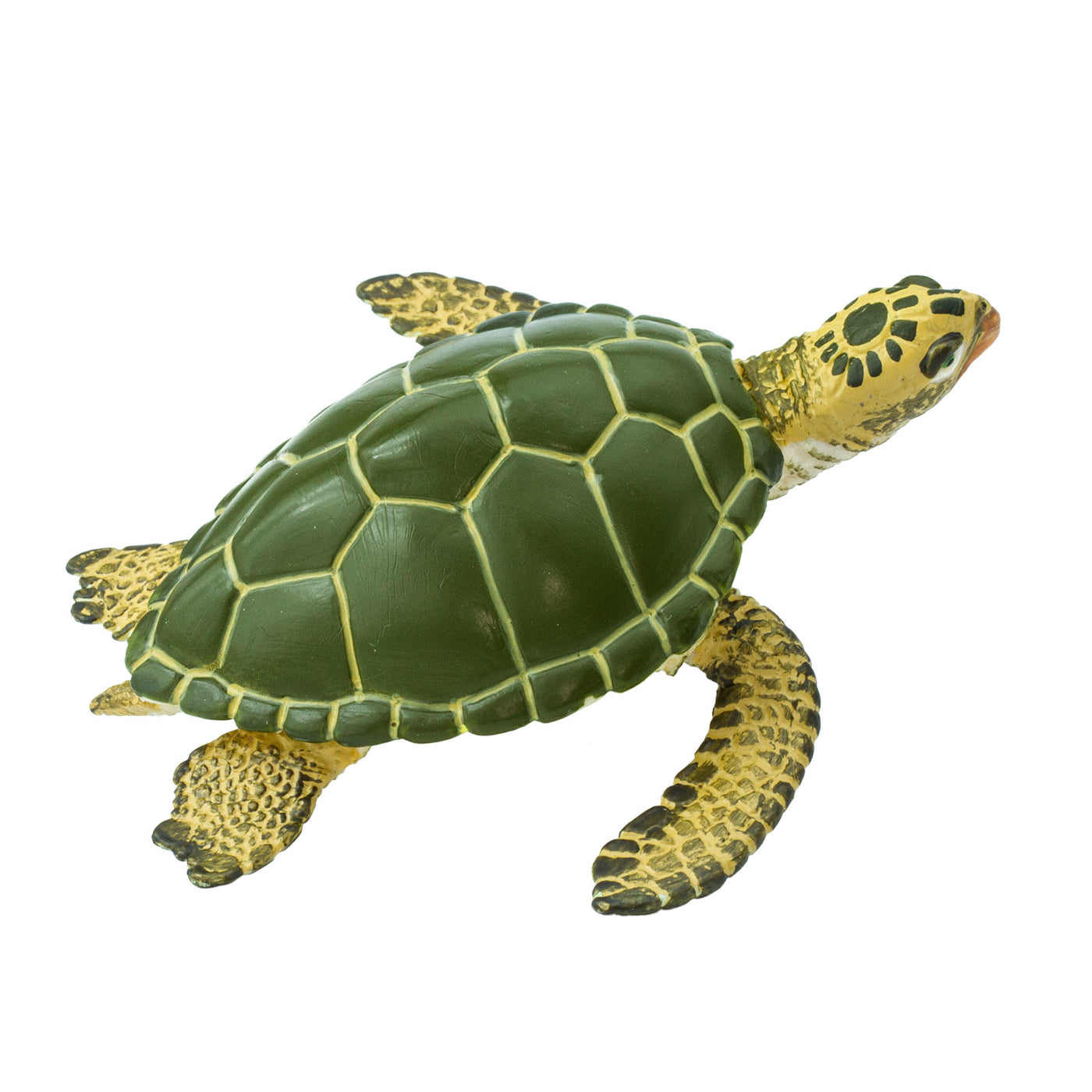 Green Sea Turtle Toy - Sea Life Toys by Safari Ltd.