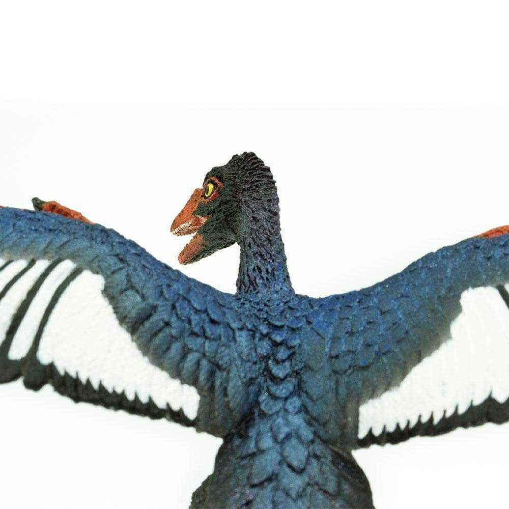 Archaeopteryx Toy | Dinosaur Toys | Safari Ltd®