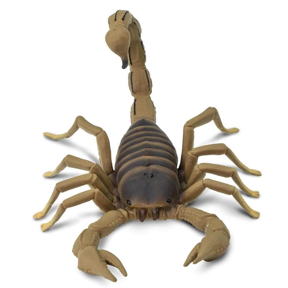 Scorpion Toy | Incredible Creatures | Safari Ltd®