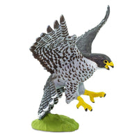 Peregrine Falcon Toy | Wildlife Animal Toys | Safari Ltd®