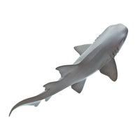 Nurse Shark Toy