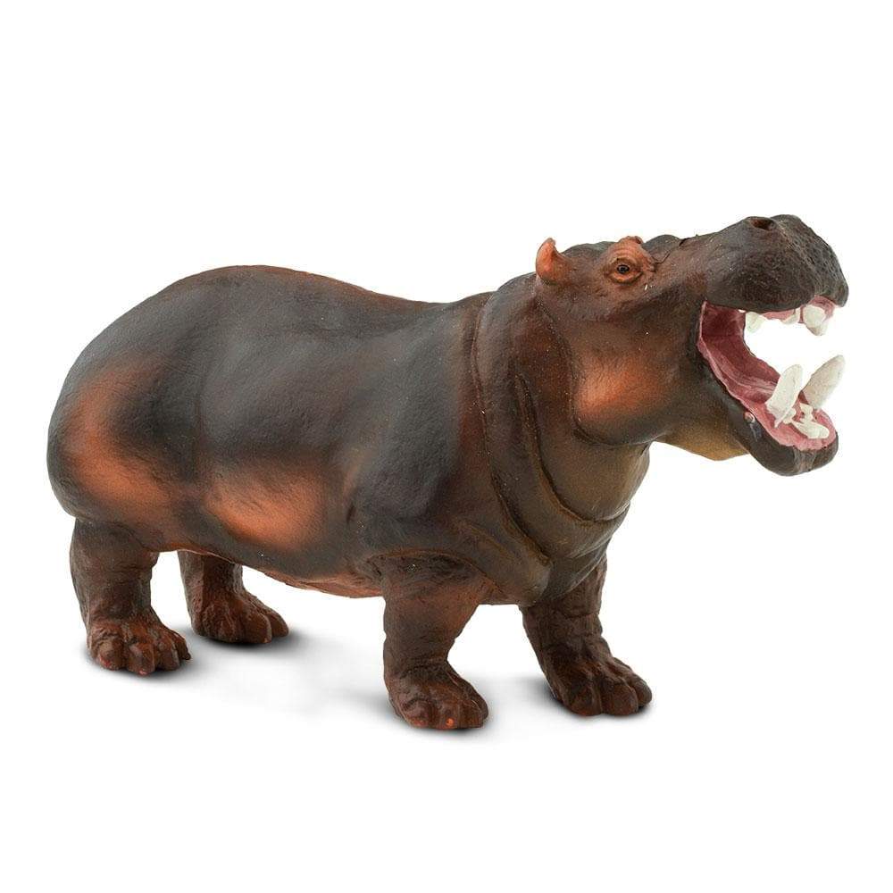 Hippopotamus Toy