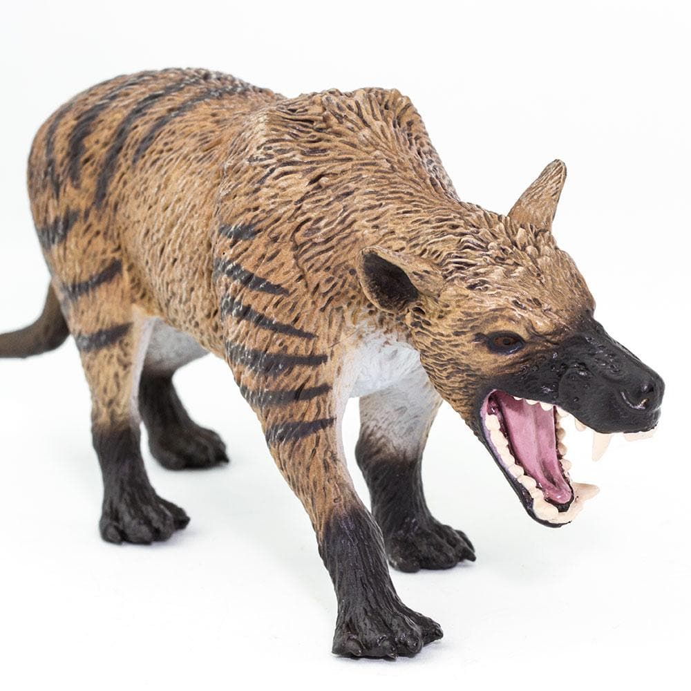 Hyaenodon Gigas Toy