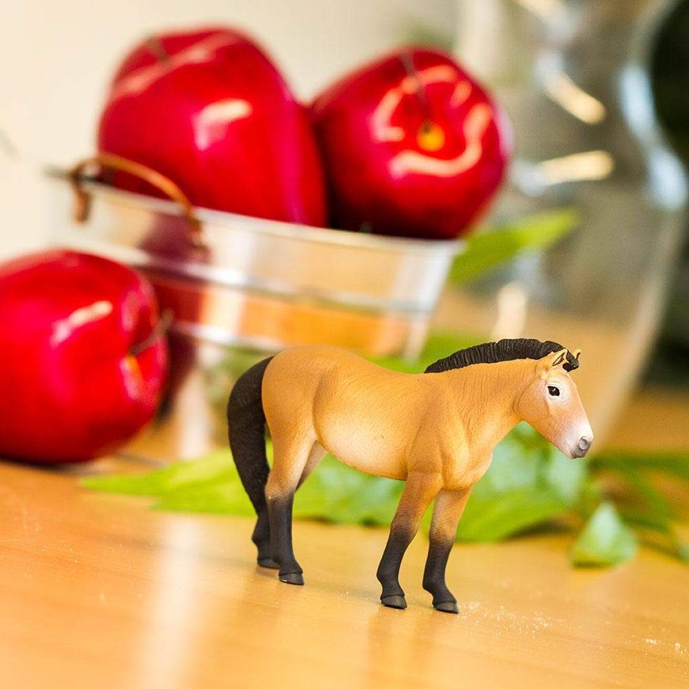 Przewalski's Horse Toy | Farm | Safari Ltd®