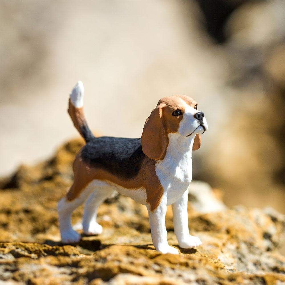 Beagle - Safari Ltd®