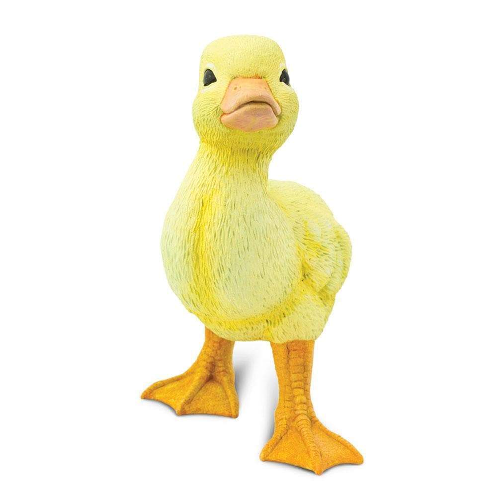 Duckling Toy