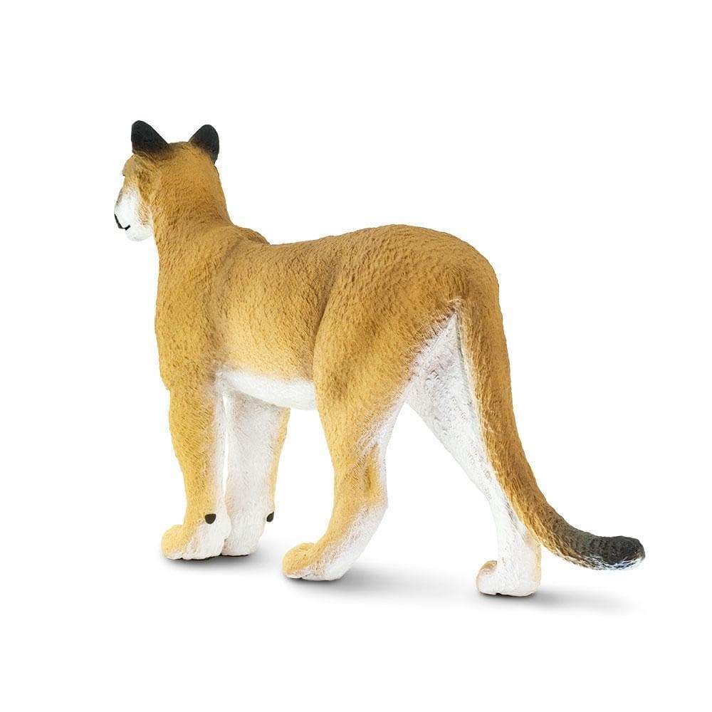 Florida Panther Toy | Wildlife Animal Toys | Safari Ltd®