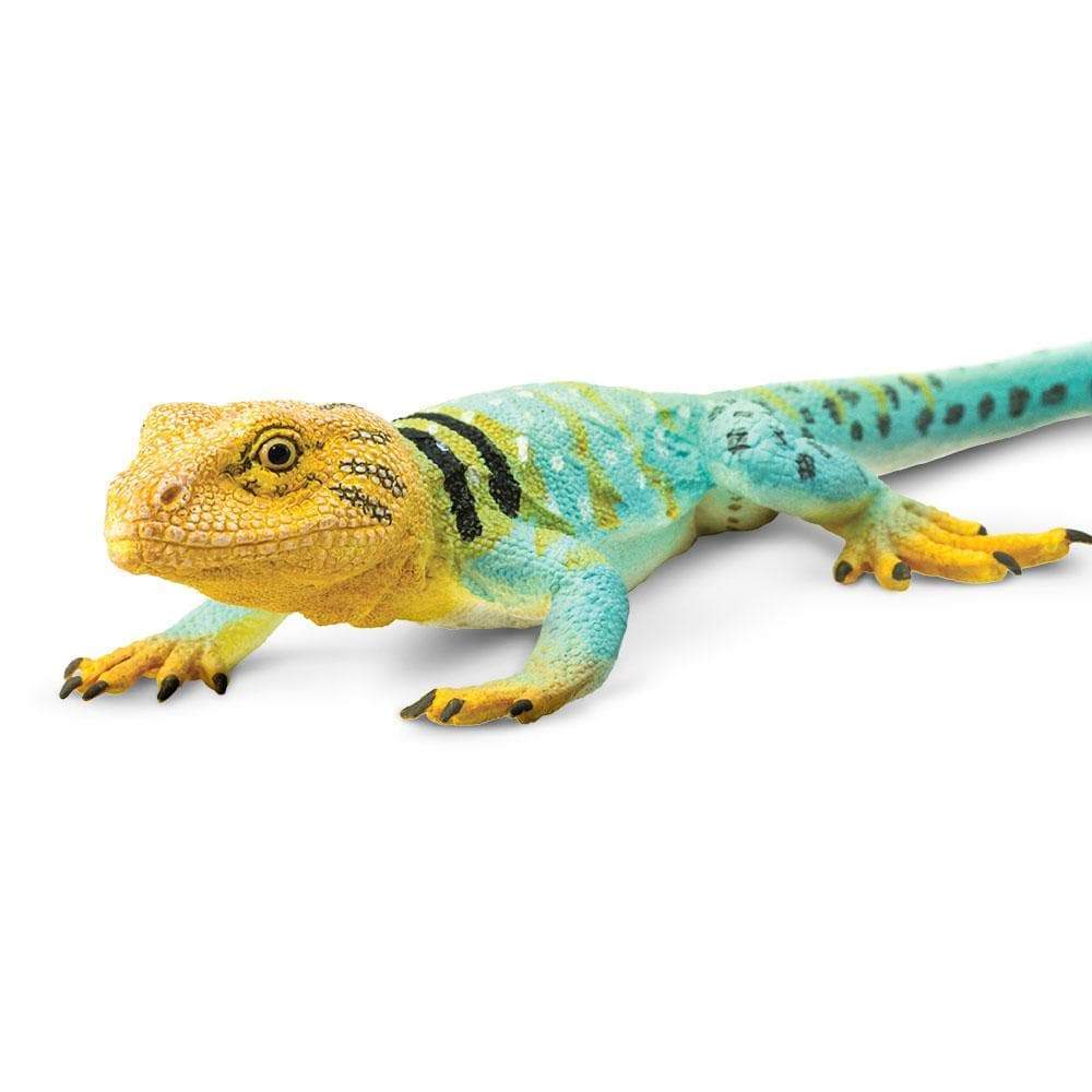 Collared Lizard Toy