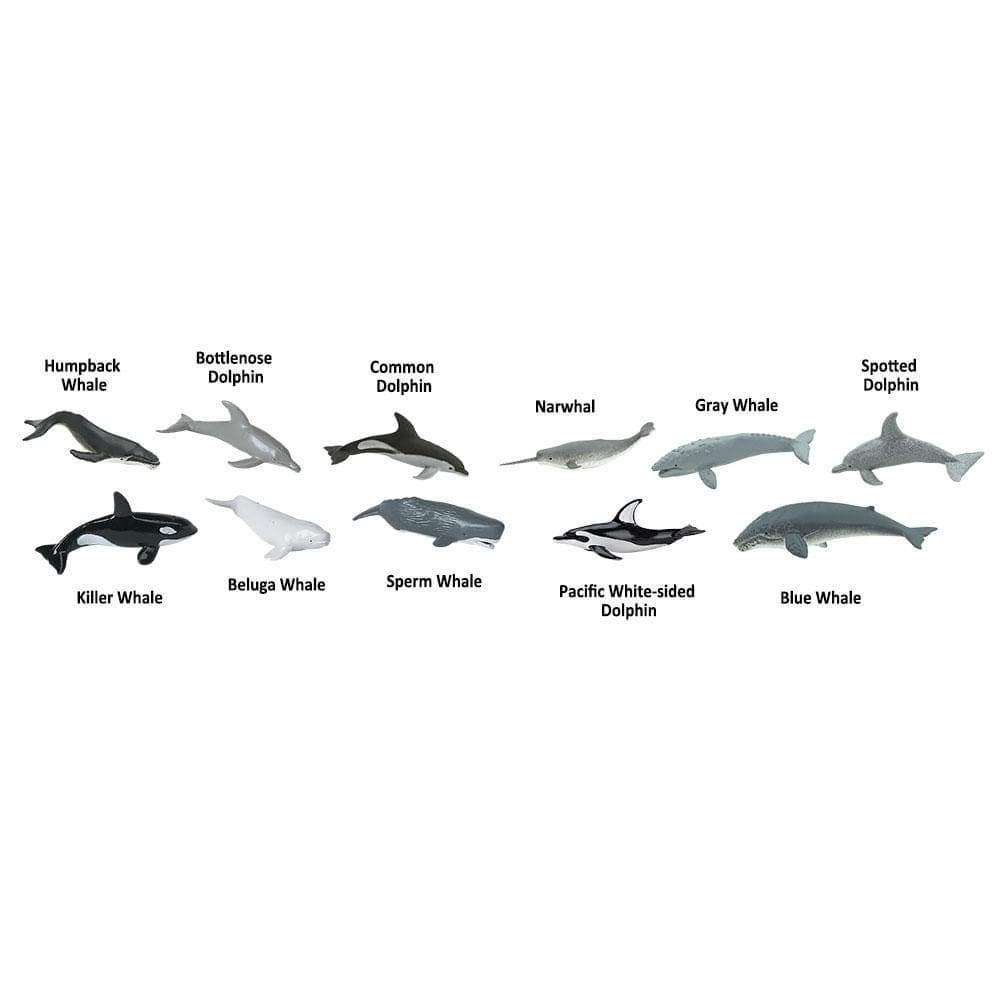 Whales and Dolphins Bulk Bag