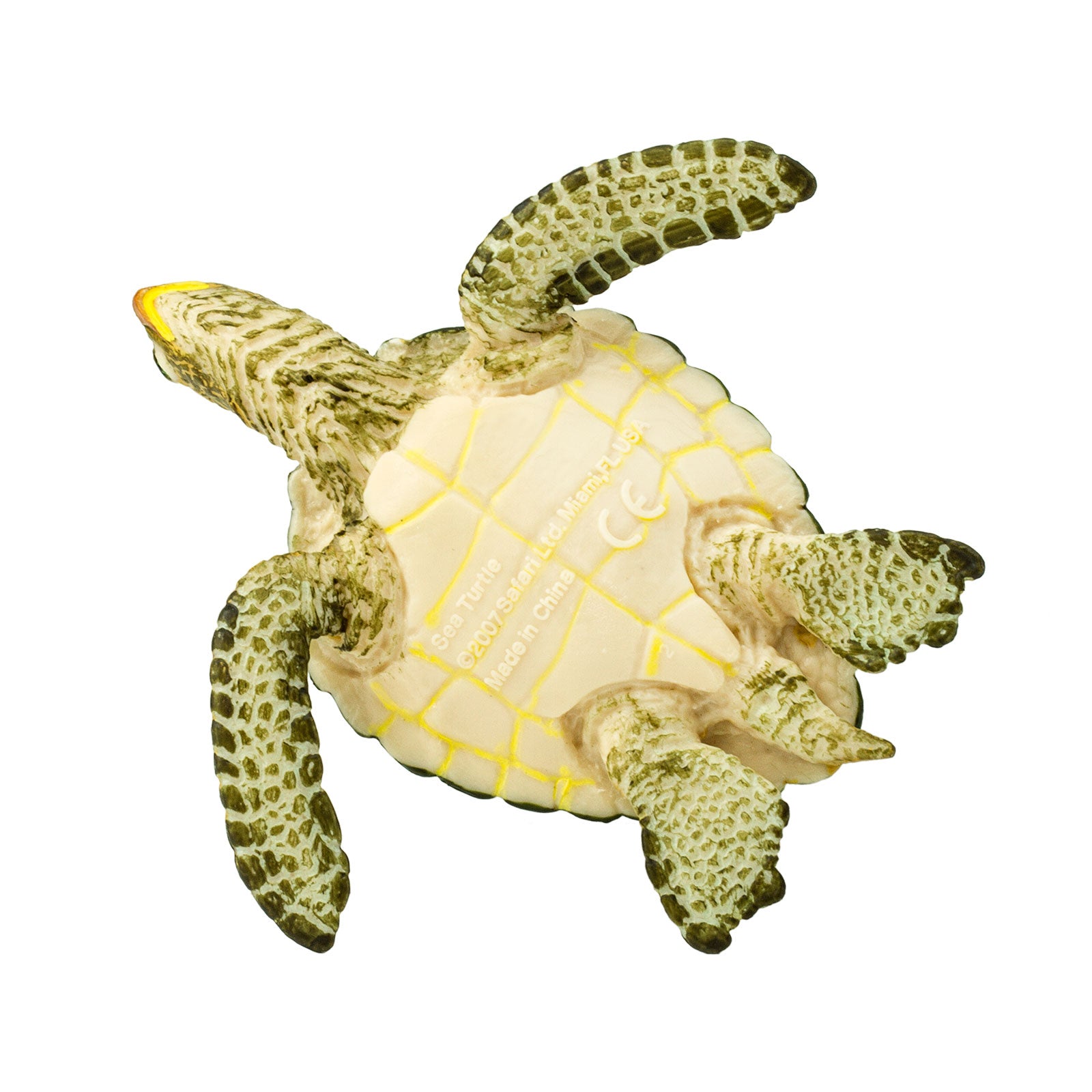 Green Sea Turtle Toy