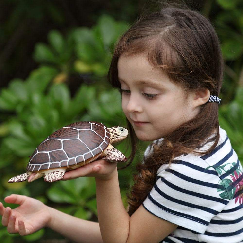 Sea Turtle Toy | Incredible Creatures | Safari Ltd®