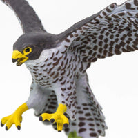 Peregrine Falcon Toy | Wildlife Animal Toys | Safari Ltd®