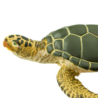 Green Sea Turtle Toy