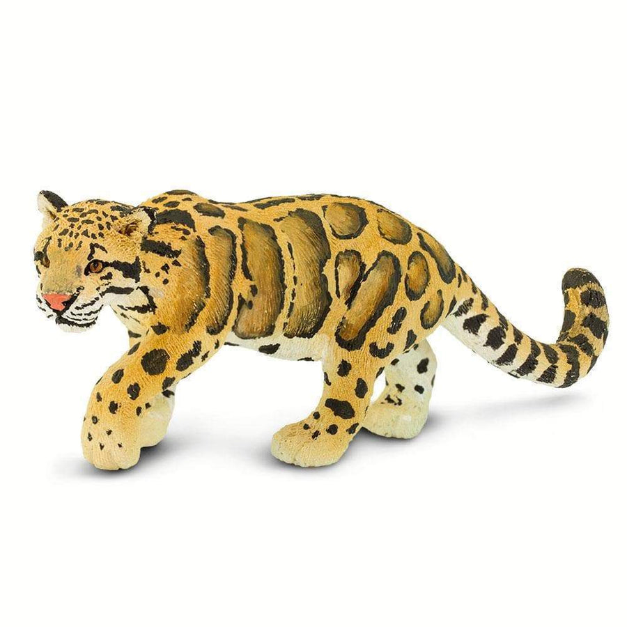 Clouded Leopard - Safari Ltd®