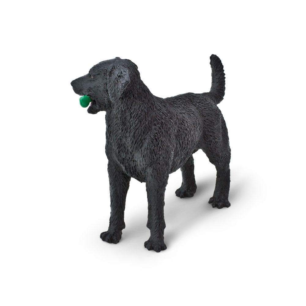 Black Labrador Toy | Farm | Safari Ltd®