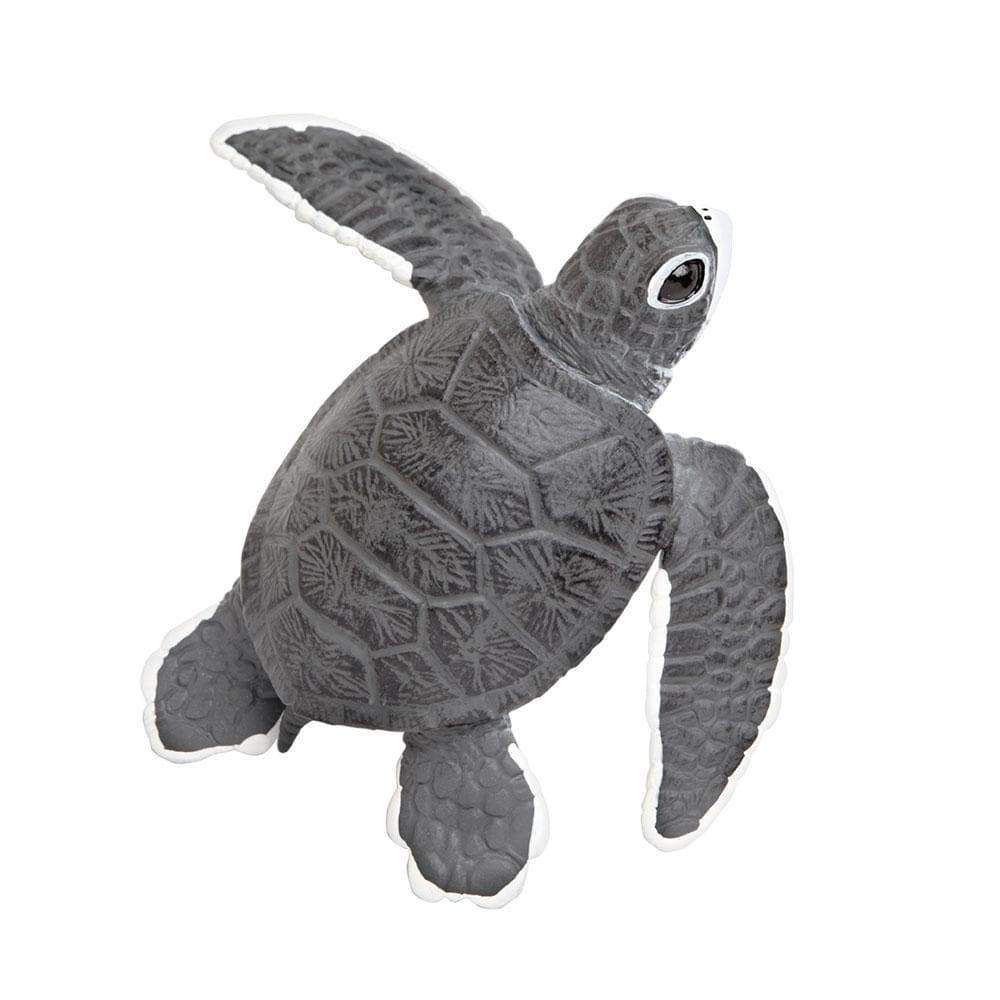 Sea Turtle Baby Toy | Incredible Creatures | Safari Ltd®