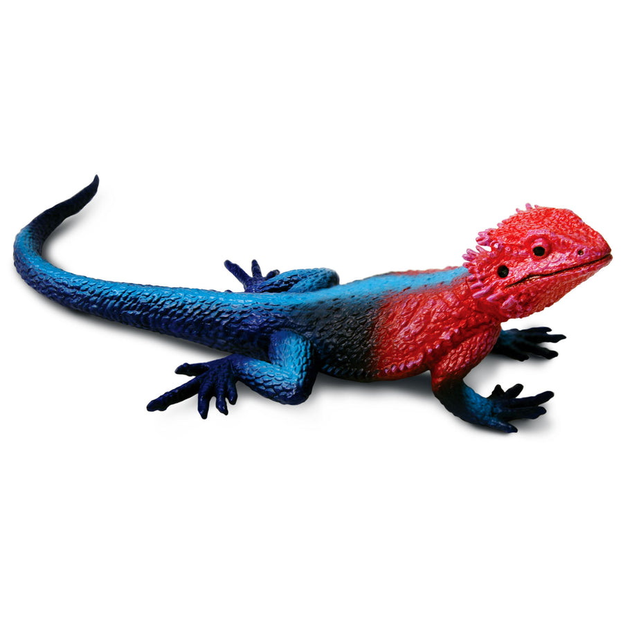 Mwanza Flat-Headed Rock Agama Toy Figure - Safari Ltd®