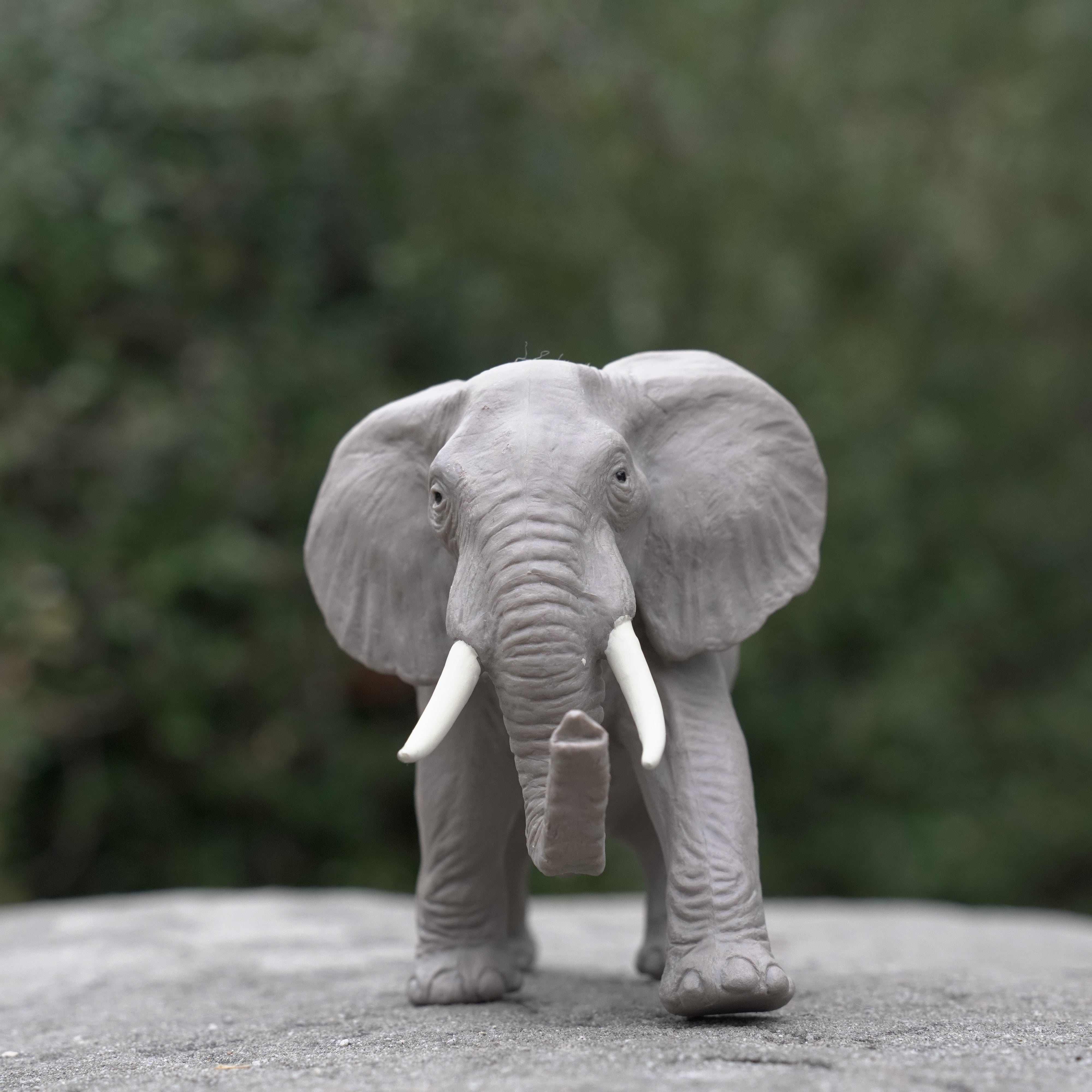 African Elephant Toy | Wildlife Animal Toys | Safari Ltd®