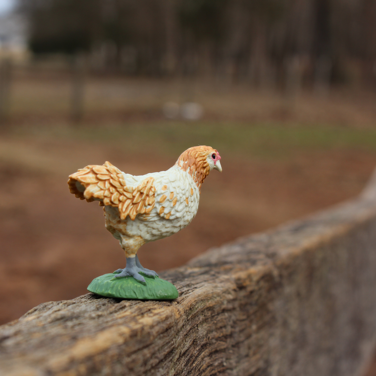 Ameraucana Chicken Toy | Farm | Safari Ltd®