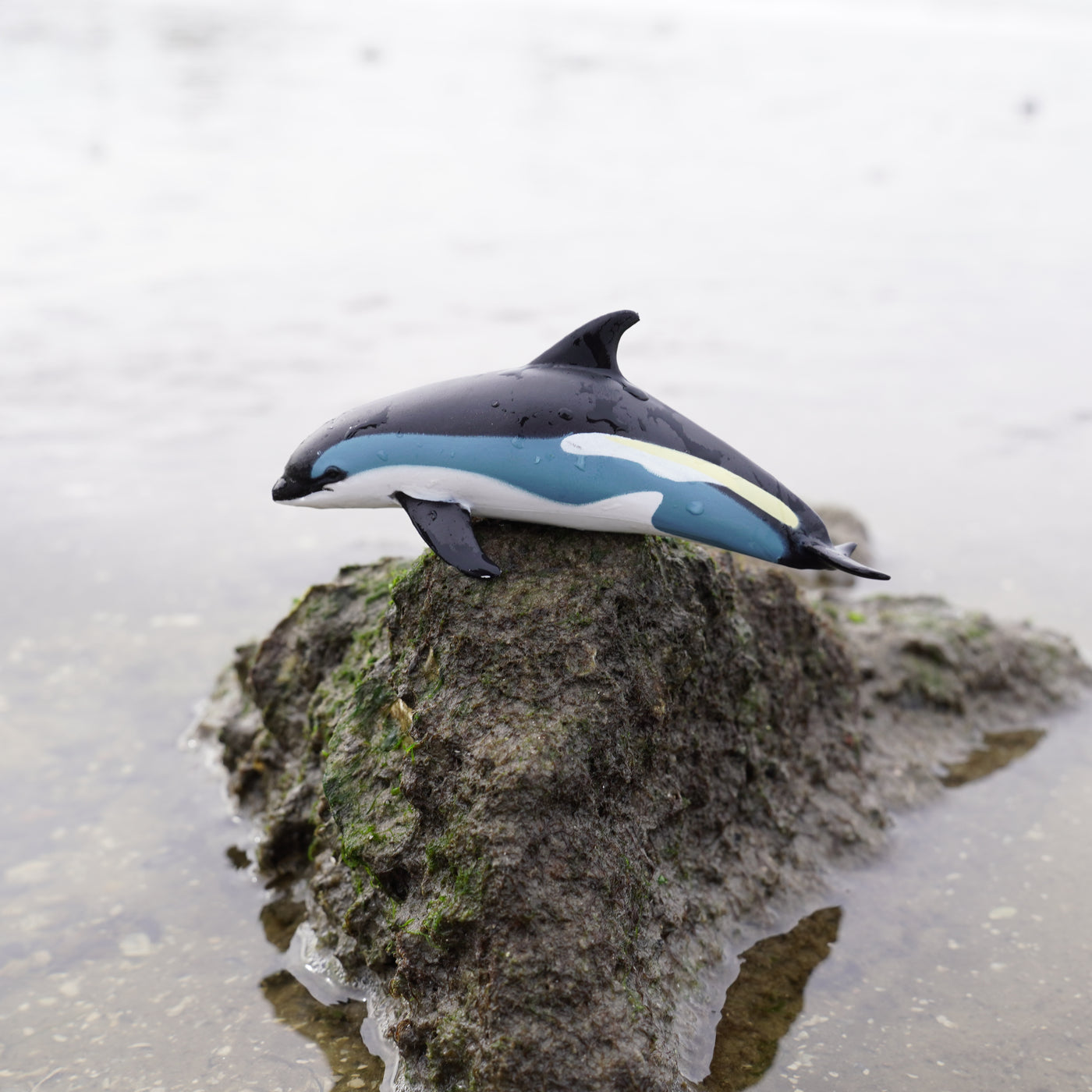 Atlantic White-Sided Dolphin Toy | Sea Life | Safari Ltd®