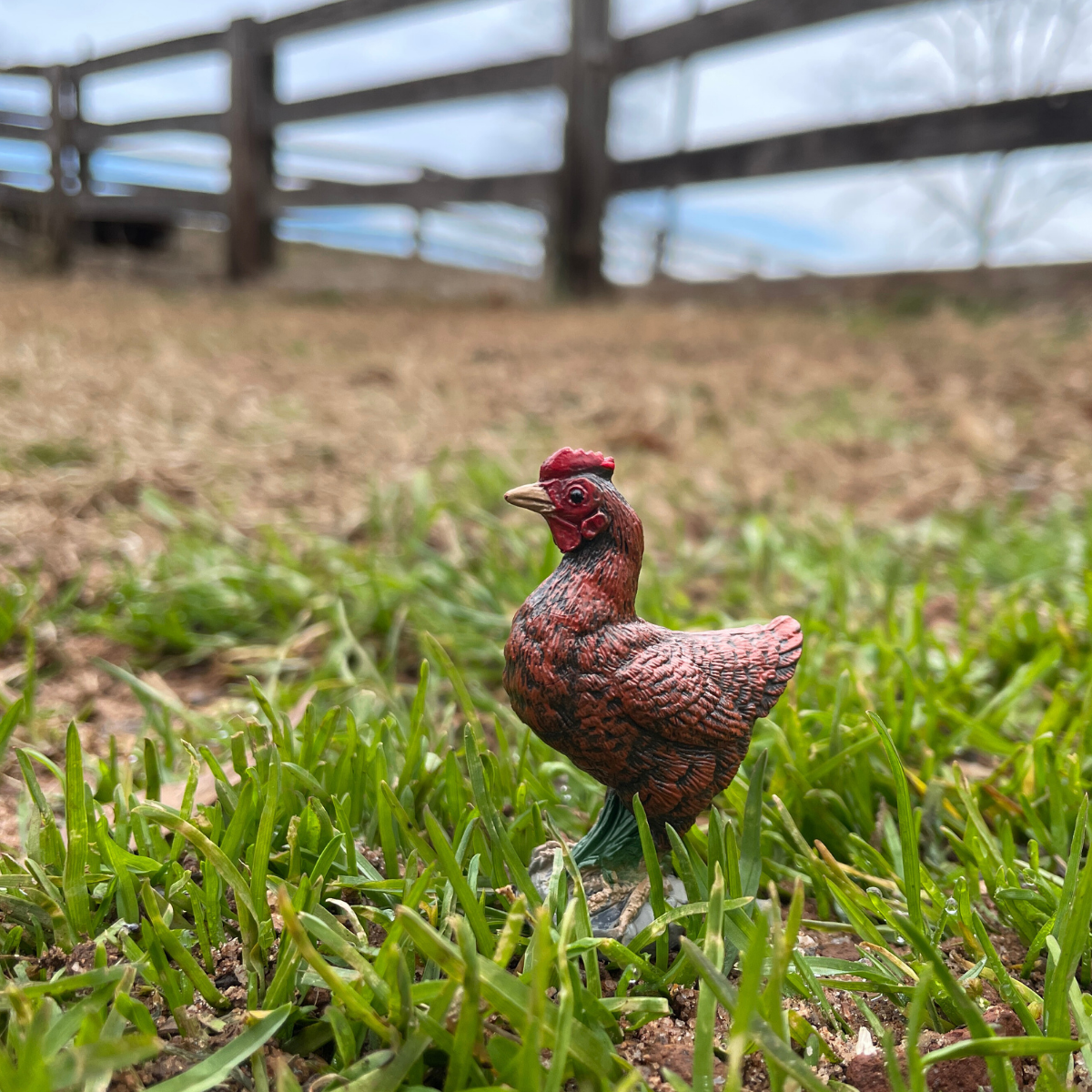 Bantam Hen Toy | Farm | Safari Ltd®