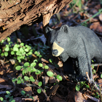 Black Bear Toy | Wildlife Animal Toys | Safari Ltd®