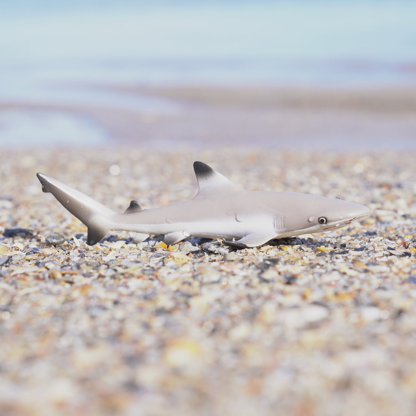 Blacktip Reef Shark Toy | Sea Life | Safari Ltd®