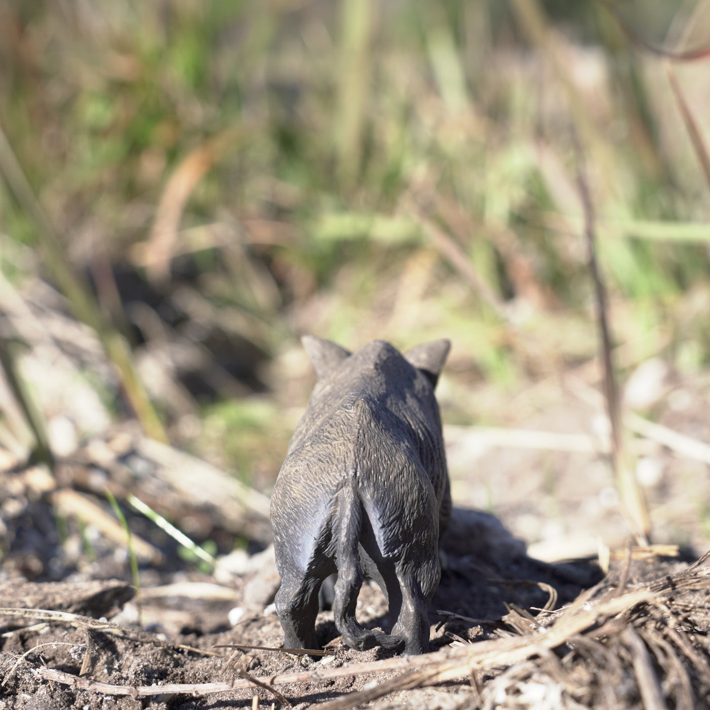 Boar Toy | Wildlife Animal Toys | Safari Ltd®