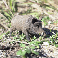 Boar Toy | Wildlife Animal Toys | Safari Ltd®