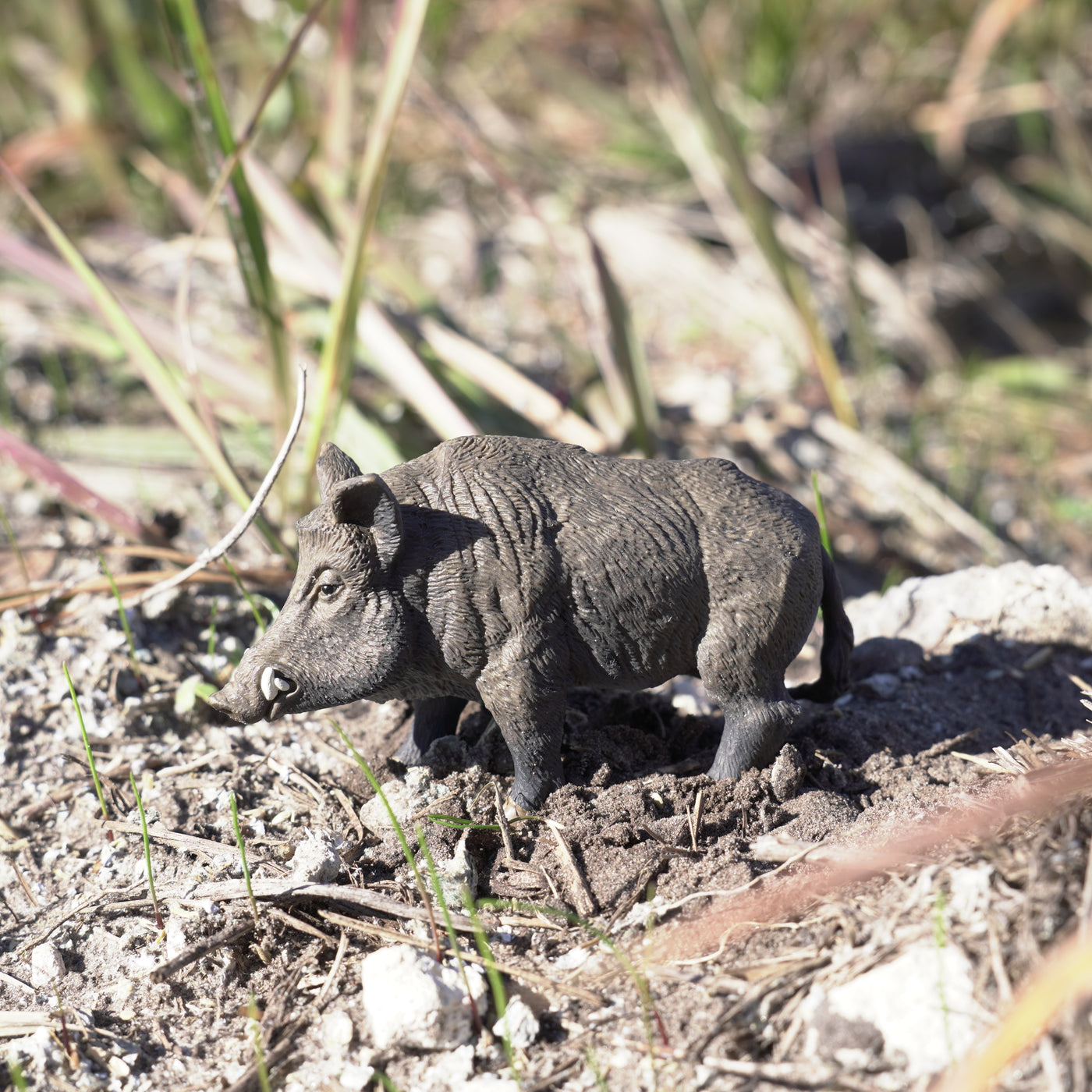 Boar Toy | Wildlife Animal Toys | Safari Ltd®