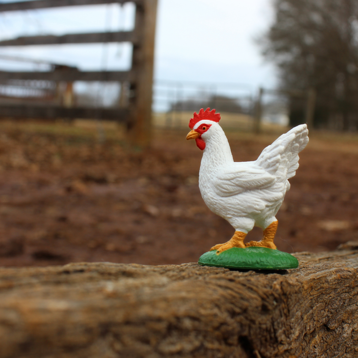 Chicken Toy | Farm | Safari Ltd®