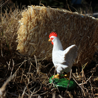 Chicken Toy | Farm | Safari Ltd®