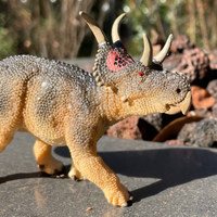 Diabloceratops Toy | Dinosaur Toys | Safari Ltd®