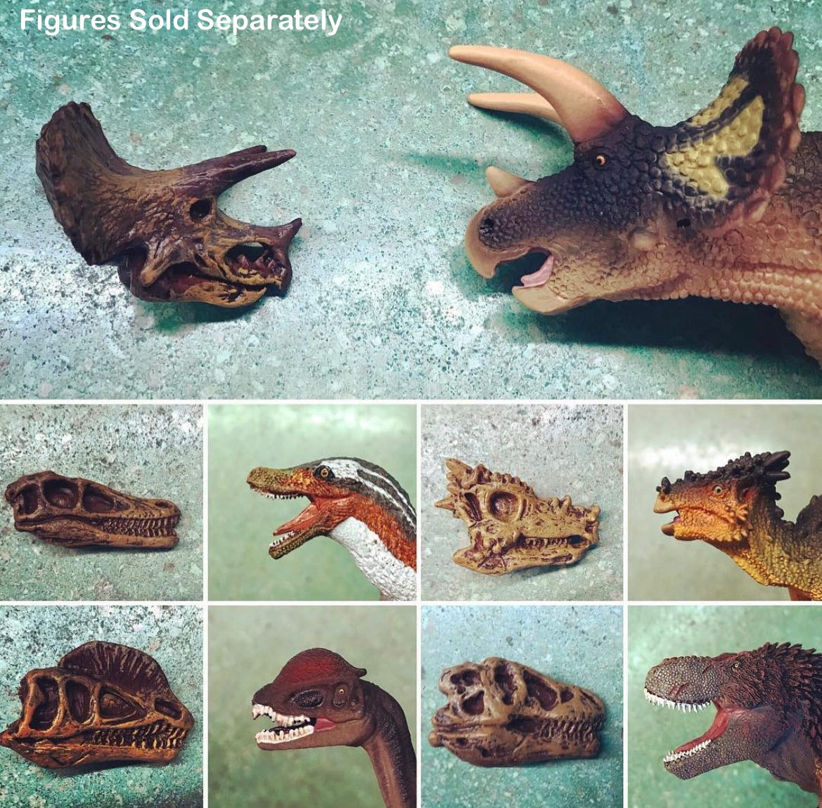 Dinosaur Skulls TOOB® Toy | TOOBS® - Mini Toys | Safari Ltd®