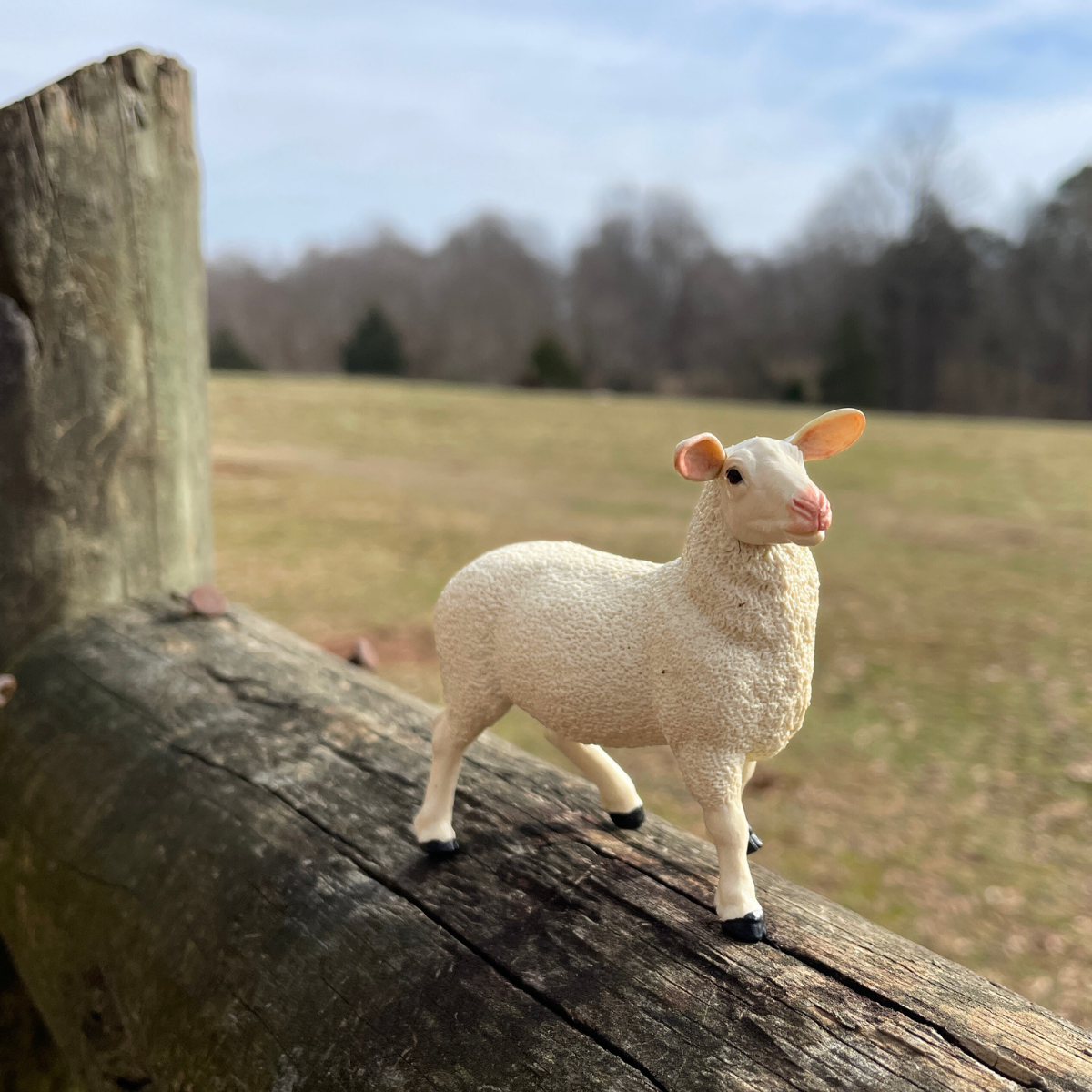 Ewe Toy | Farm | Safari Ltd®