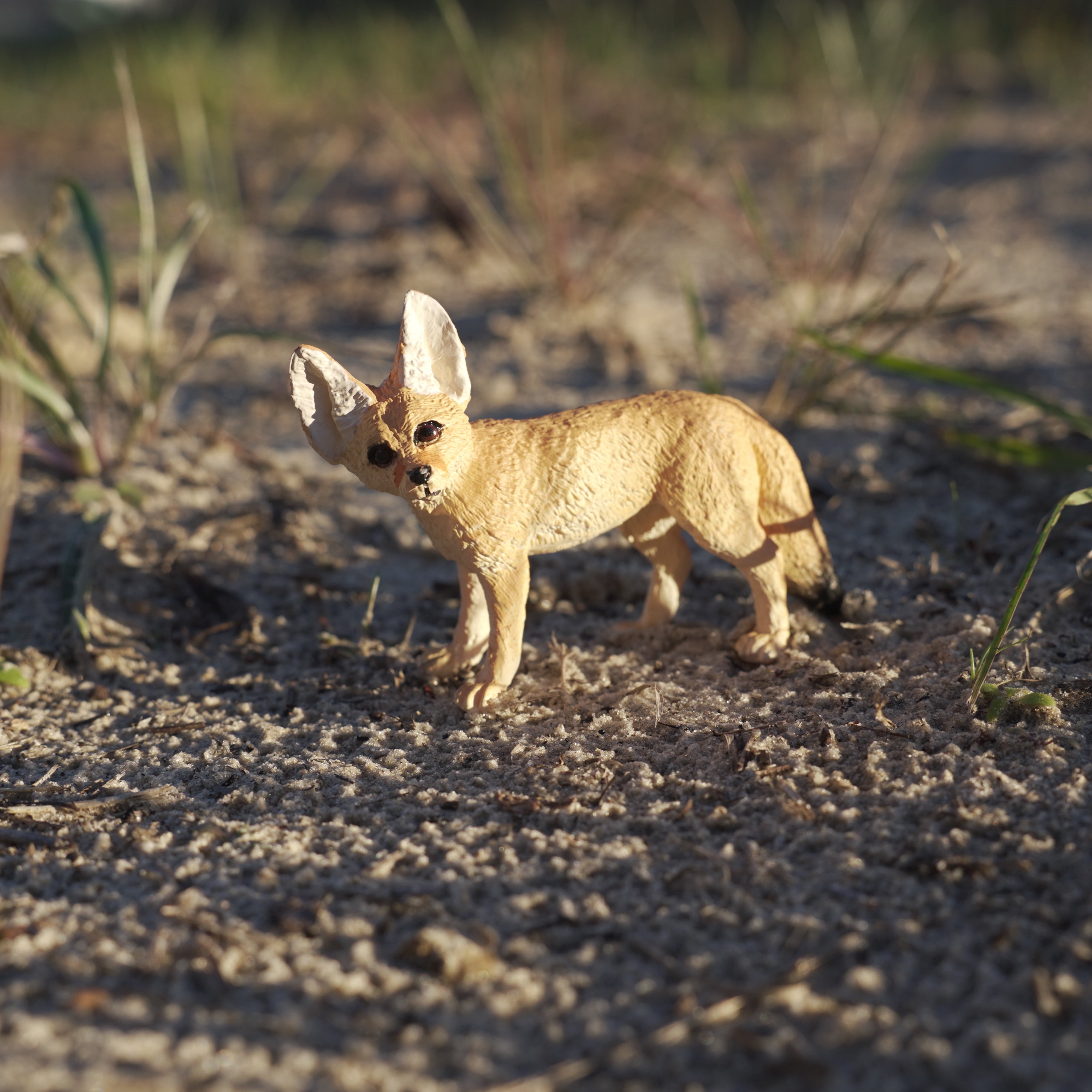 Fennec Fox Toy | Wildlife Animal Toys | Safari Ltd®