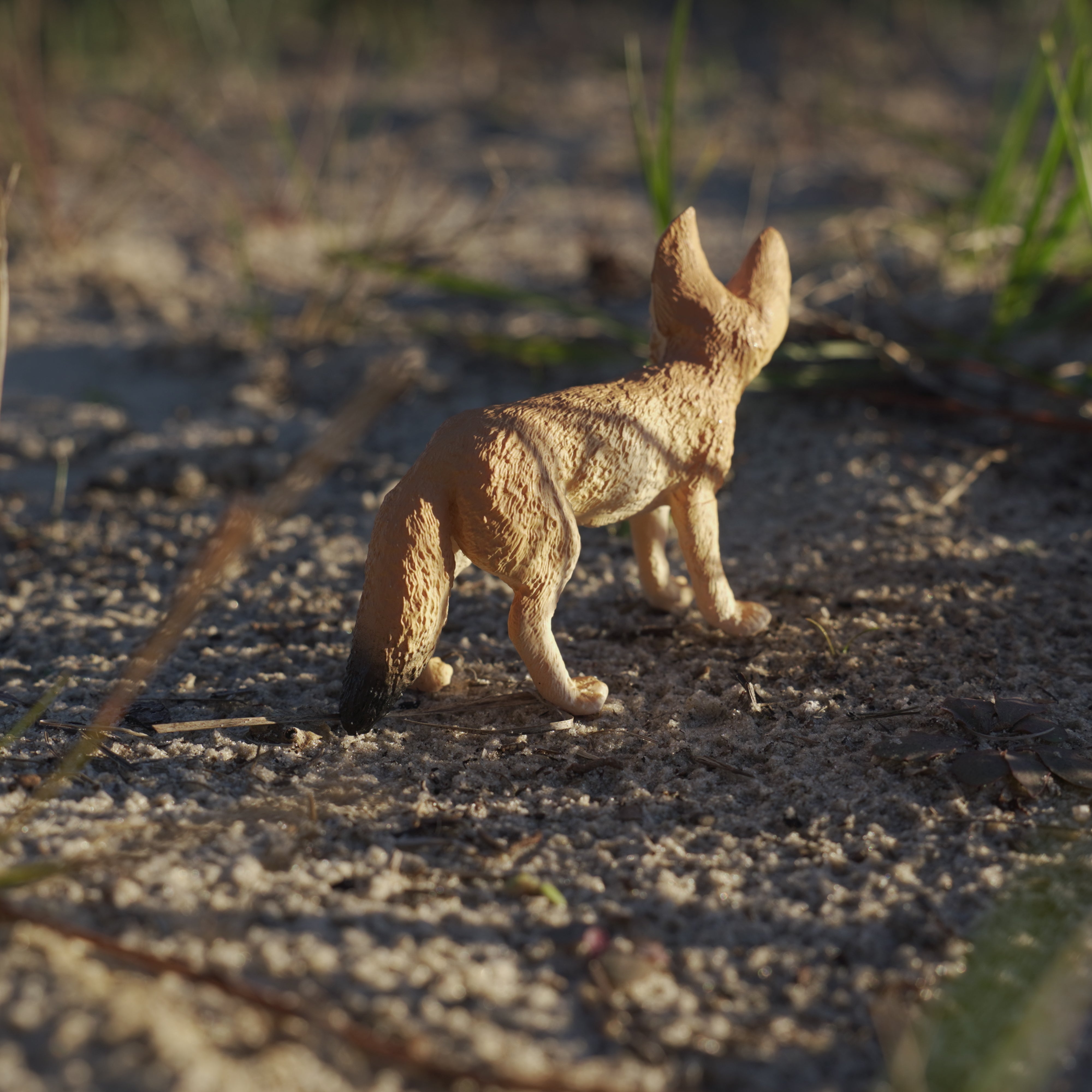 Fennec Fox Toy | Wildlife Animal Toys | Safari Ltd®