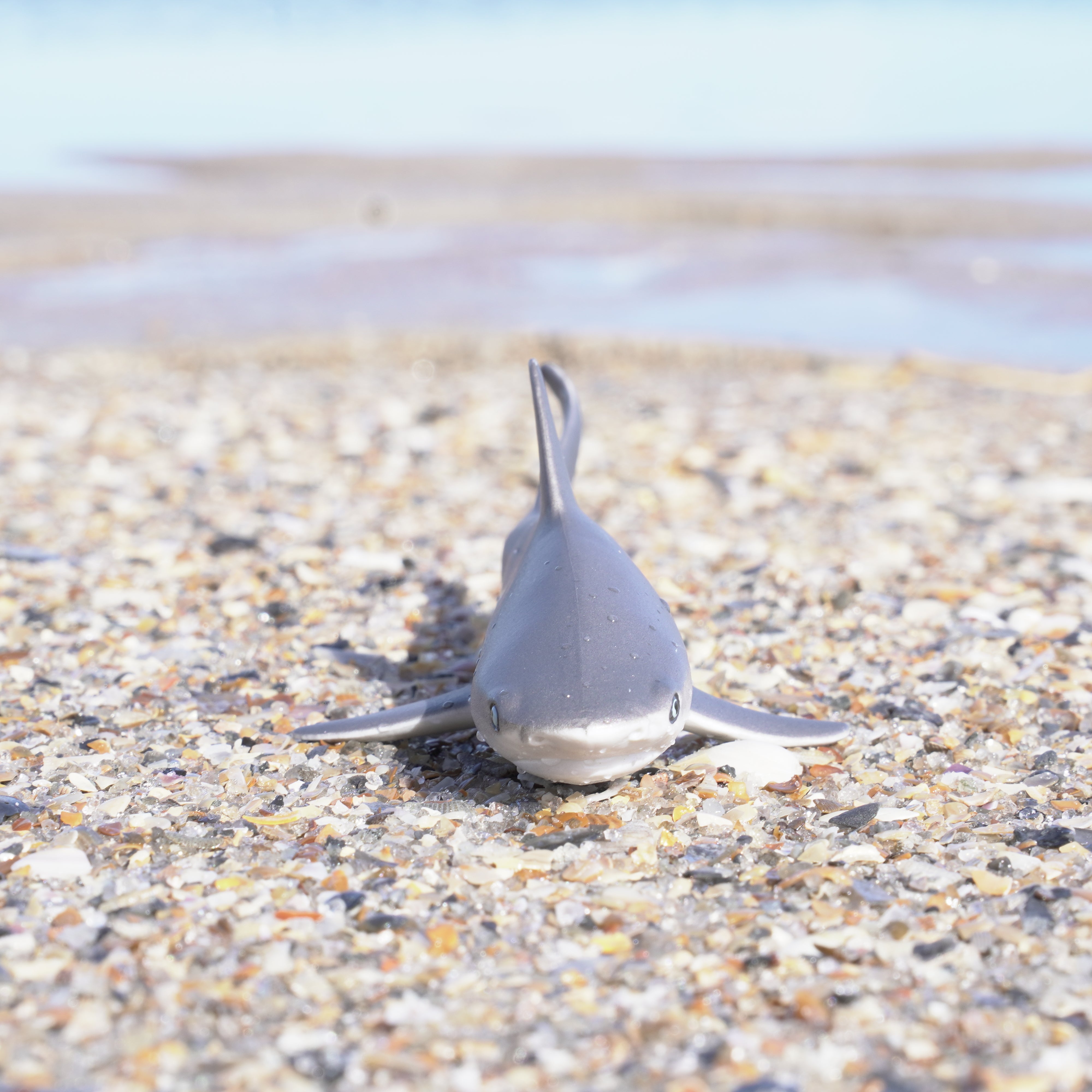 Gray Reef Shark Toy | Sea Life | Safari Ltd®