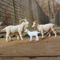 Kid Goat Toy | Farm | Safari Ltd®