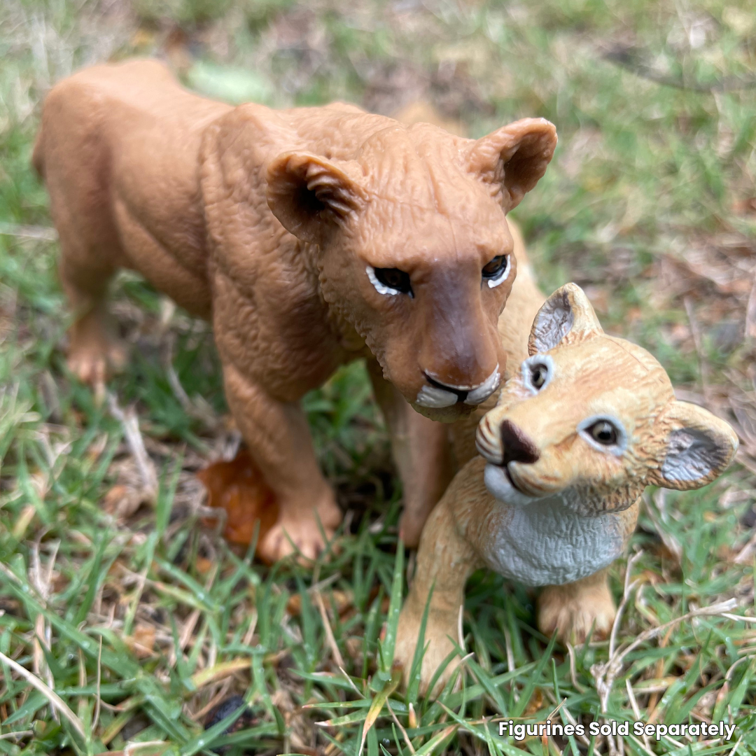 Lion Cub Toy | Wildlife Animal Toys | Safari Ltd®