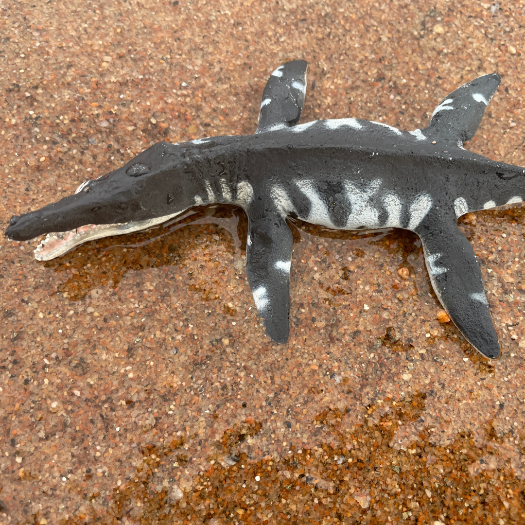 Liopleurodon Toy | Dinosaur Toys | Safari Ltd®