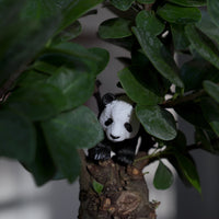 Panda Cub Toy | Wildlife Animal Toys | Safari Ltd®